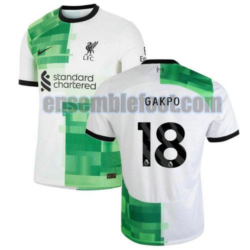 maillots liverpool 2023-2024 exterieur gakpo 18